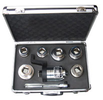 LJS�����طŴ����